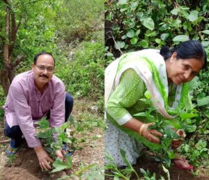 Vice Chancellor PP Dhyani planted Parijat plant with family on Harela festival